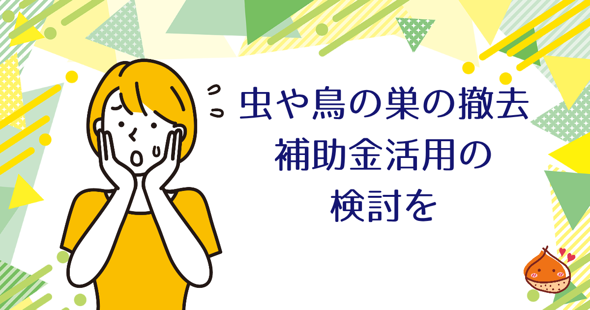 【補助金がある自治体も】虫や鳥の巣ができてしまった！撤去などのポイントを紹介